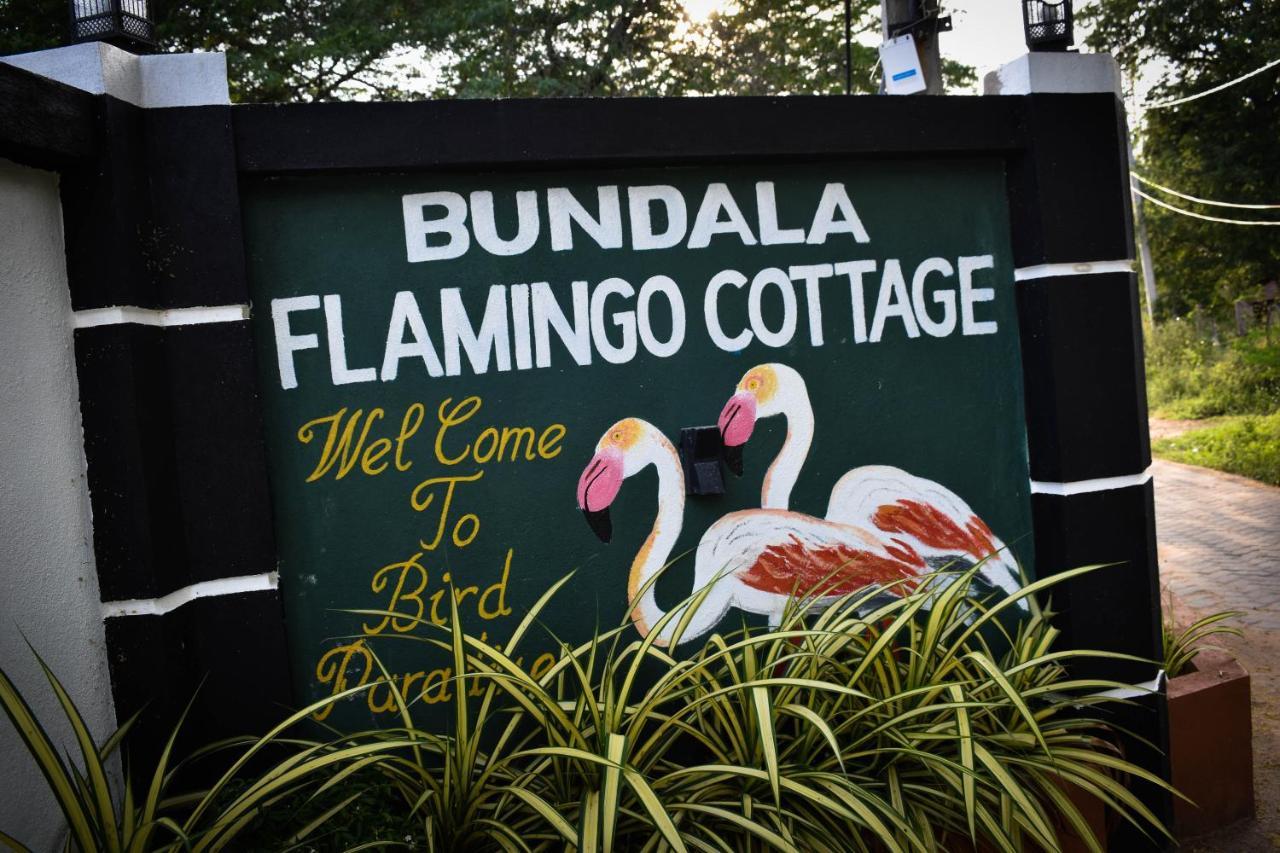 فندق Bundala Flamingo Cotteges هامبانتوتا المظهر الخارجي الصورة